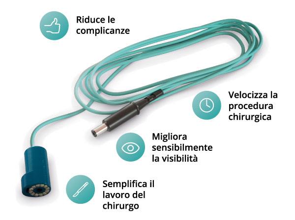 Rutilight_it_w600
